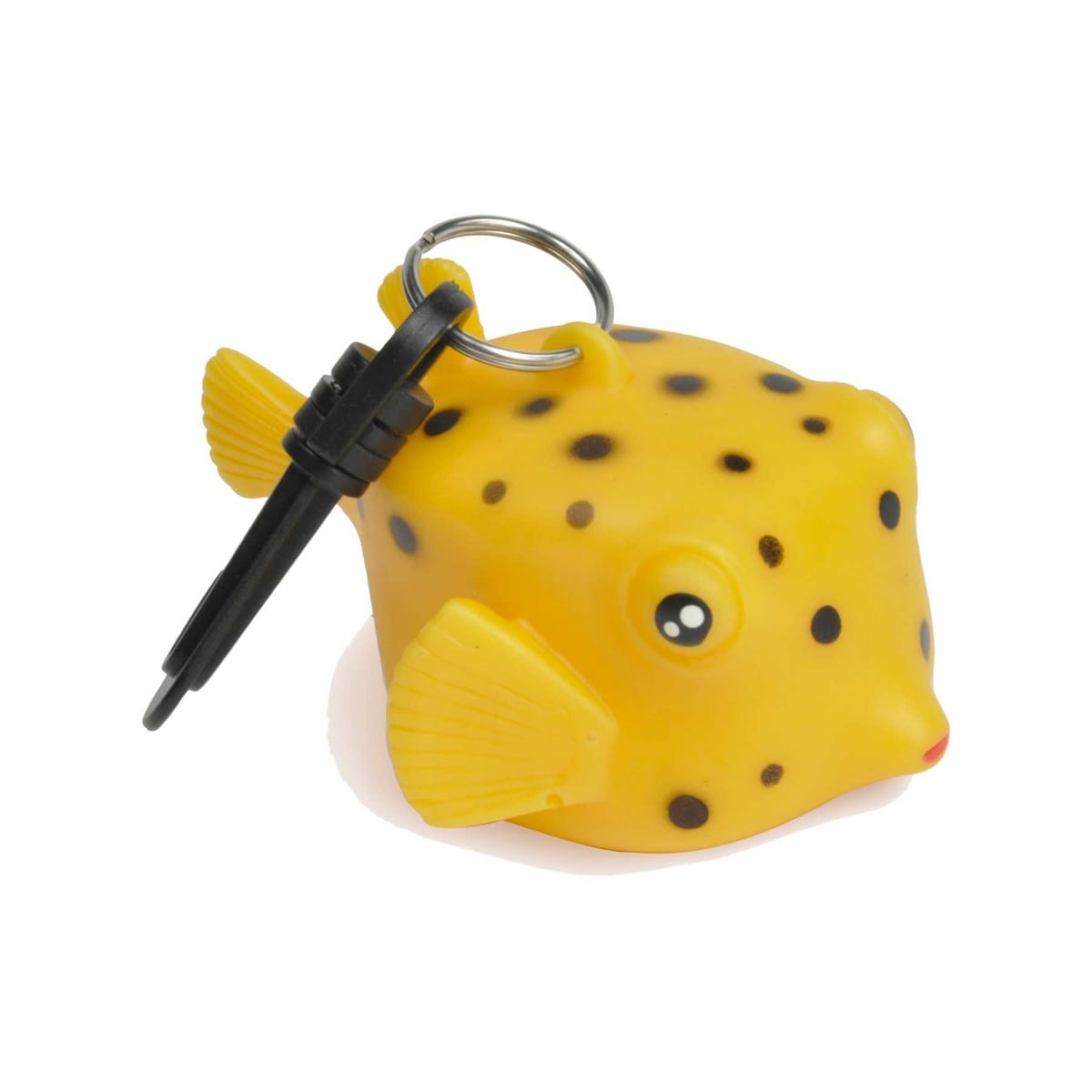 PORTA OCTOPUS PESCE SCATOLA