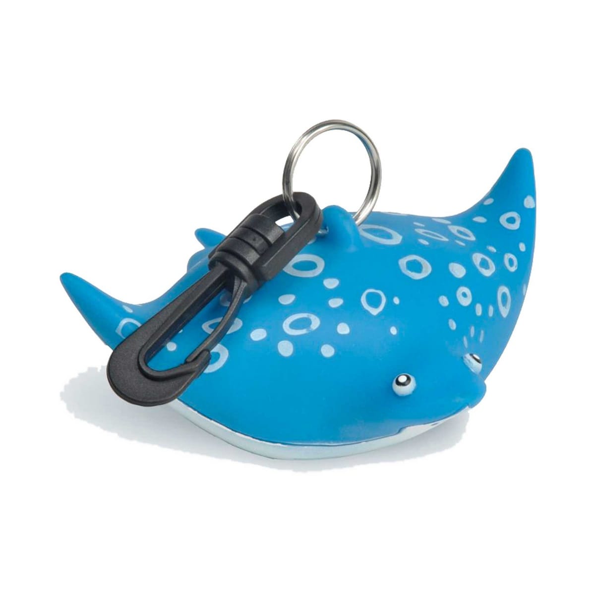 PORTA OCTOPUS AQUILA DI MARE