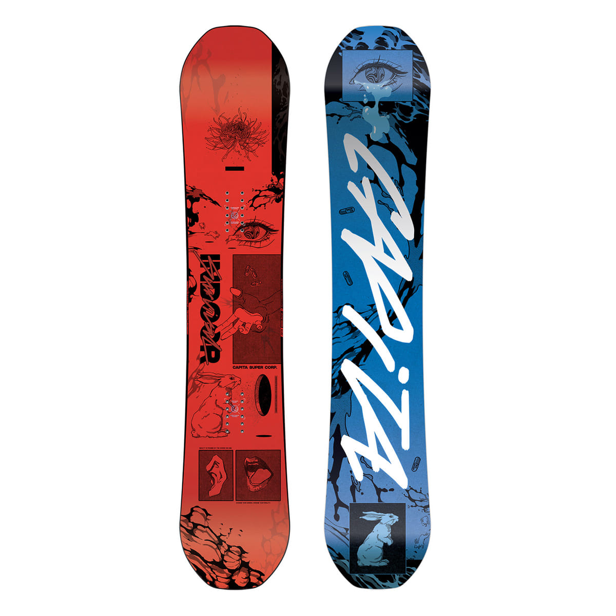 TAVOLA INDOOR SURVIVAL