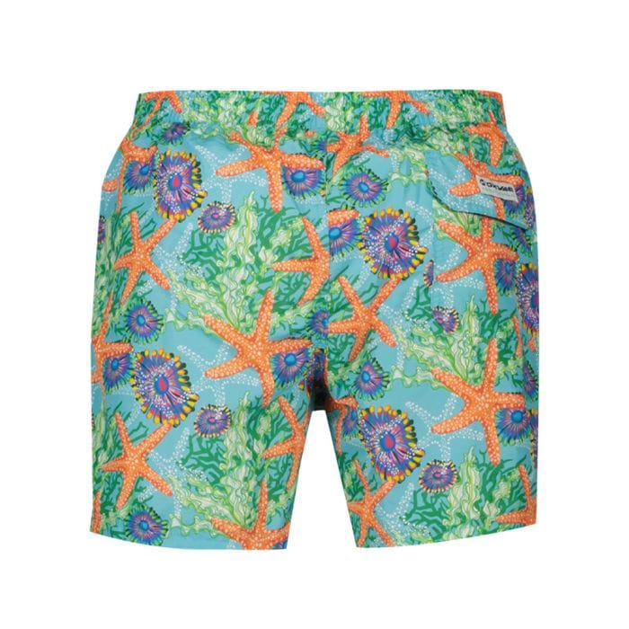 Vilebrequin Boxer Mare Lunghi OXYDE BOXER MARE FANTASIA STELLE