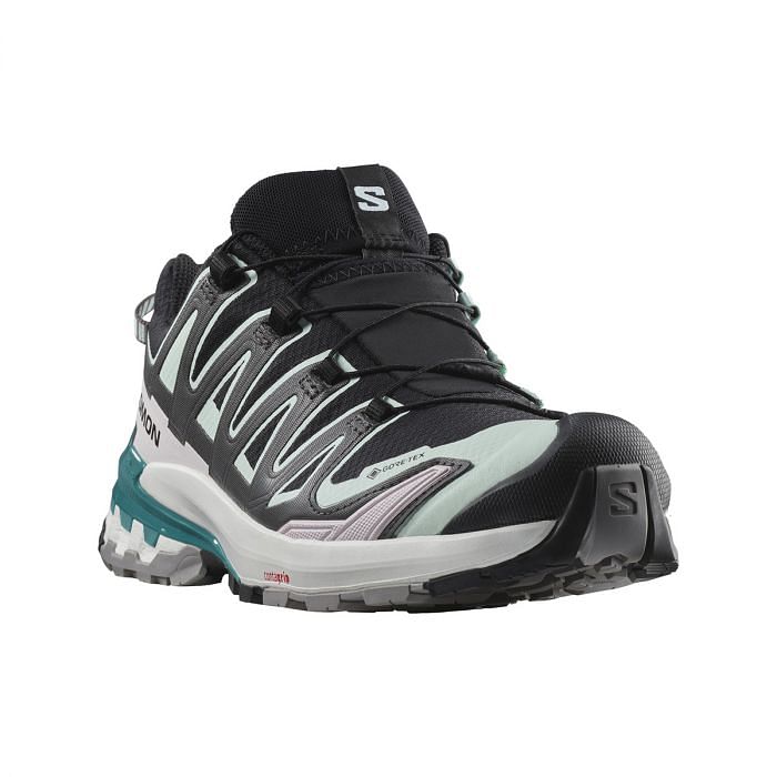 Salomon xa pro 3d gtx prezzo deals