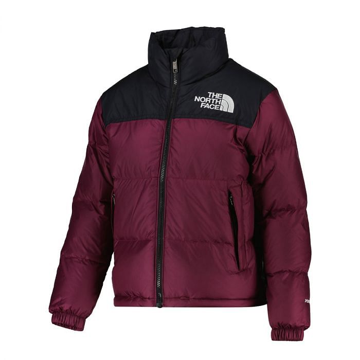 Giacconi north face on sale