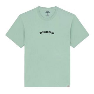 Dickies Dk0a4z8pk361 T-shirt Dickies Outdoor Street Style Uomo