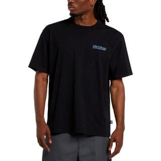 Dickies Dk0a88geblk1 T Shirt Fairlawn Street Style Uomo