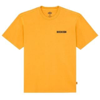 Dickies Dk0a88qqsor T Shirt Darrtown Street Style Uomo