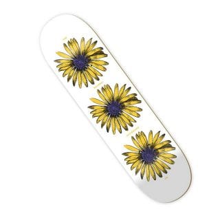The National Skateboard Co Tnsc Tavola The National Daisy 8.12 Skateboard Skateboarding Uomo