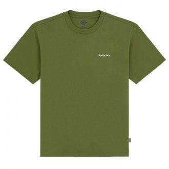 Dickies Dk0a89enk721 T Shirt Logo Ricamato Loretto Street Style Uomo