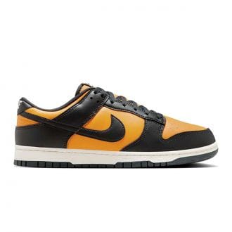 Nike Hf5441 Dunk Low Retro Tutte Sneaker Uomo