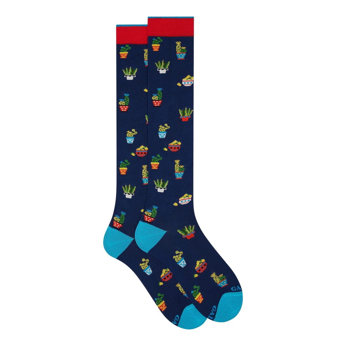 CALZA FANTASIA CACTUS E LIMONI