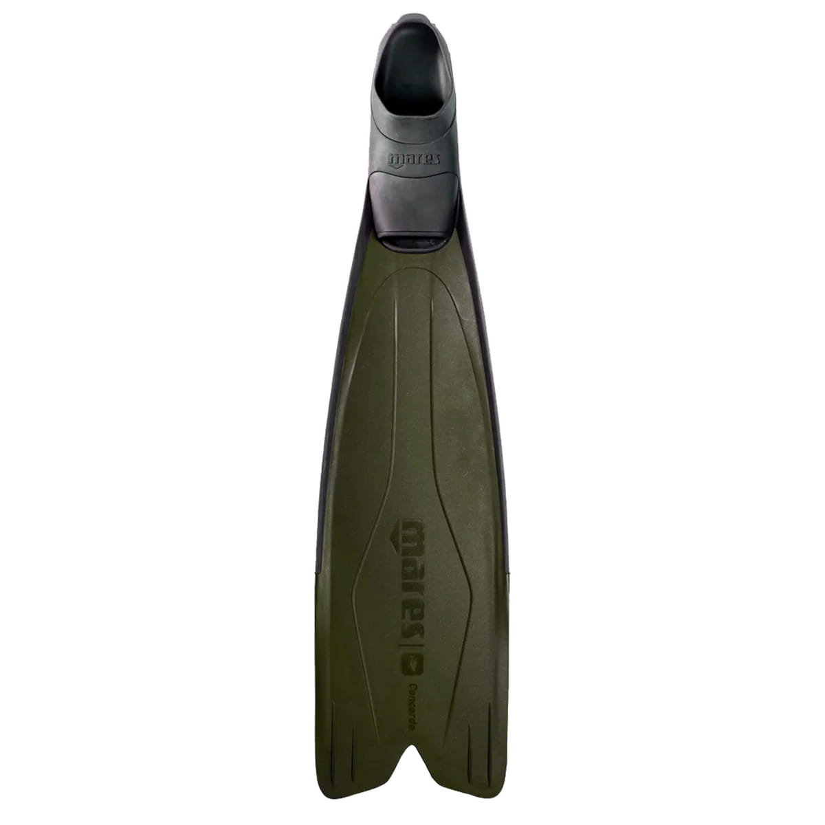 PINNE CONCORDE