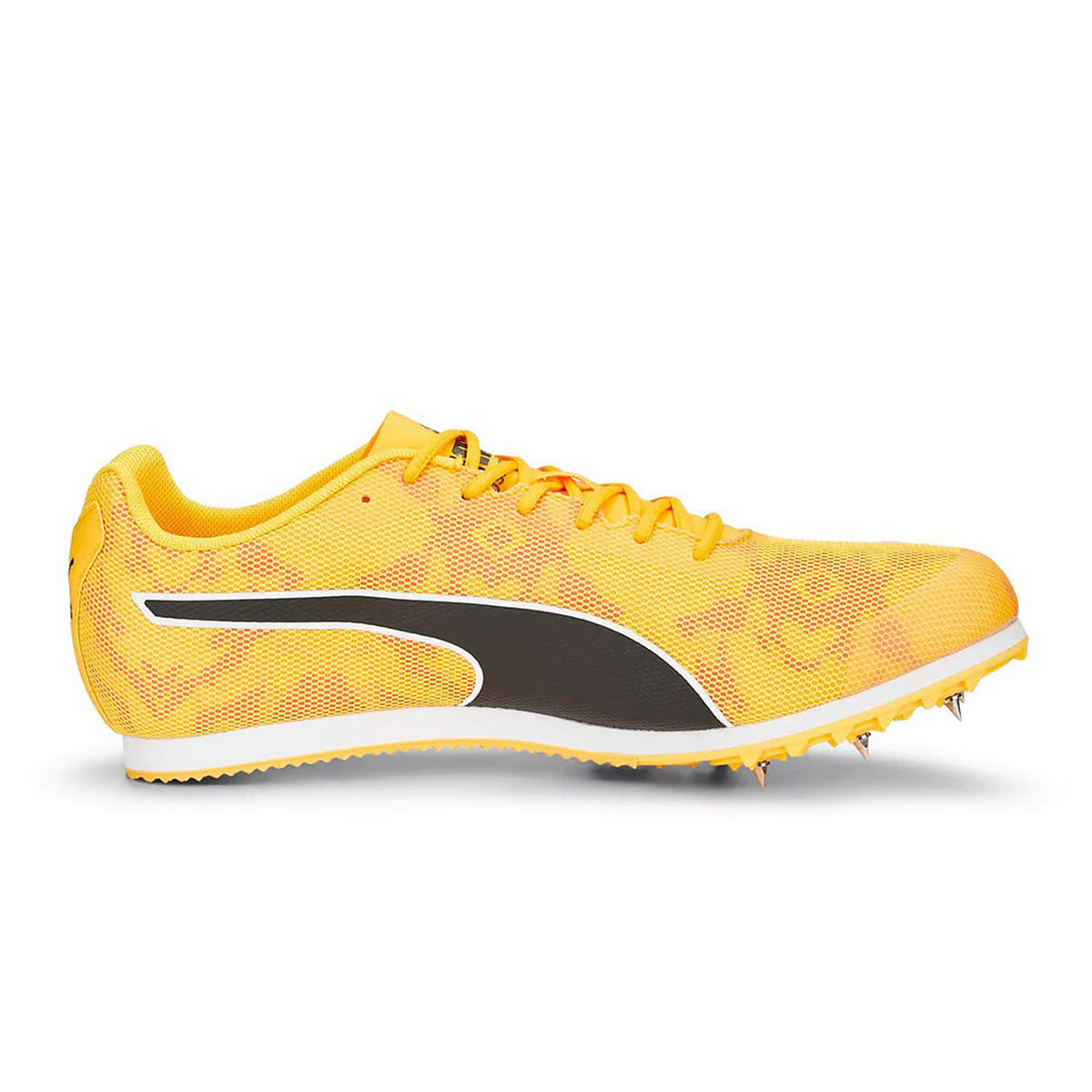 EVOSPEED STAR 8