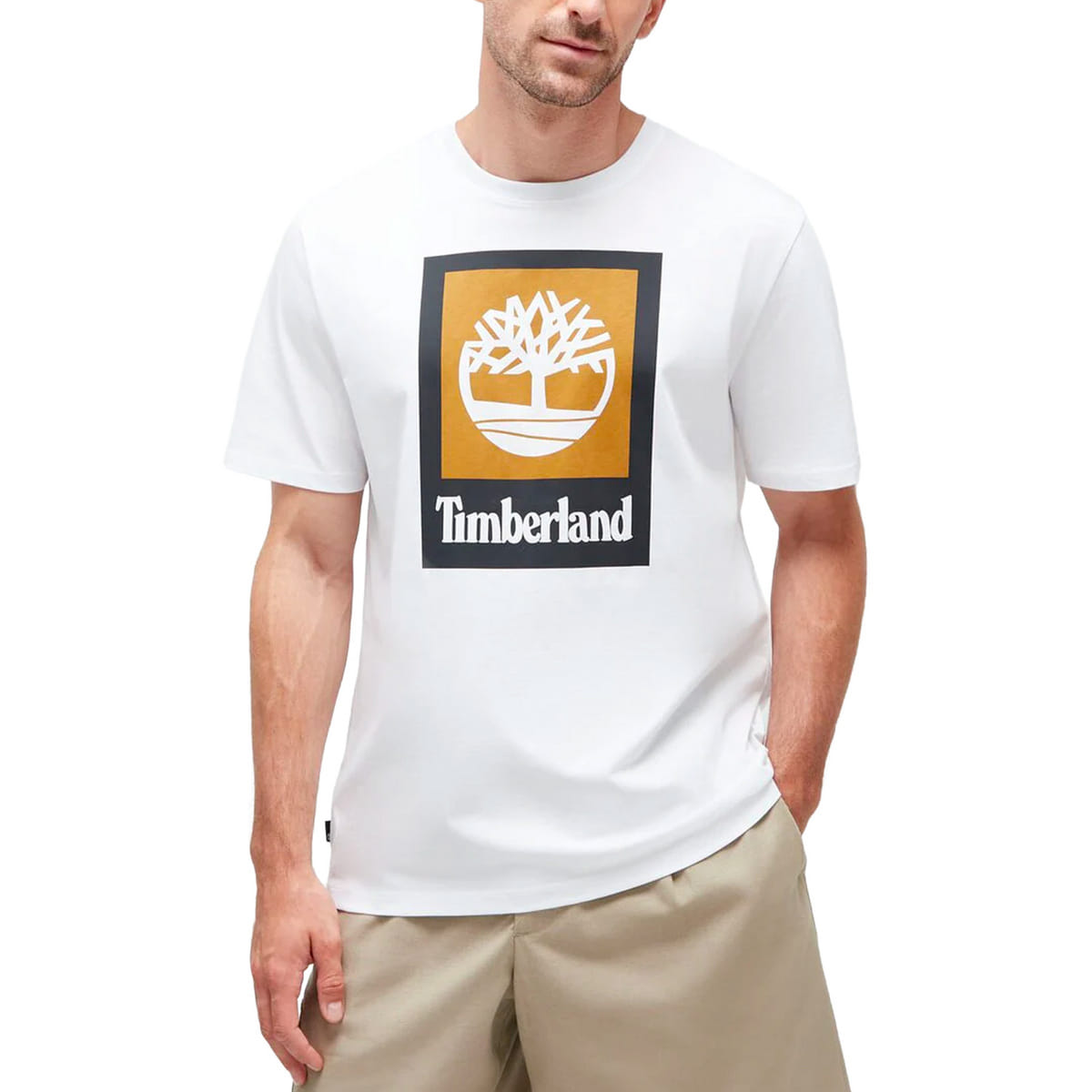 T-SHIRT REGULAR STACK LOGO COLORED