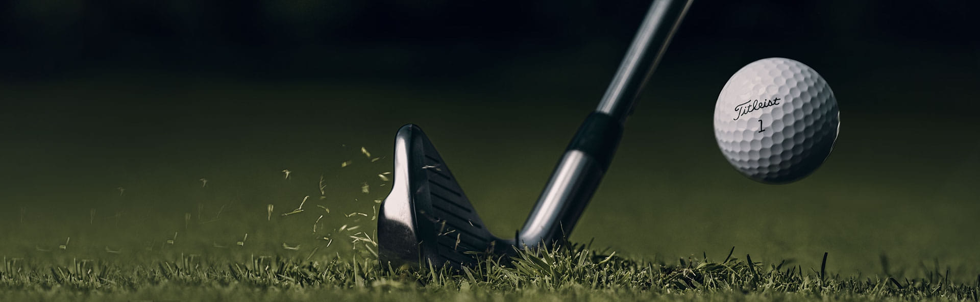 PRIMAVERA ESTATE 2026