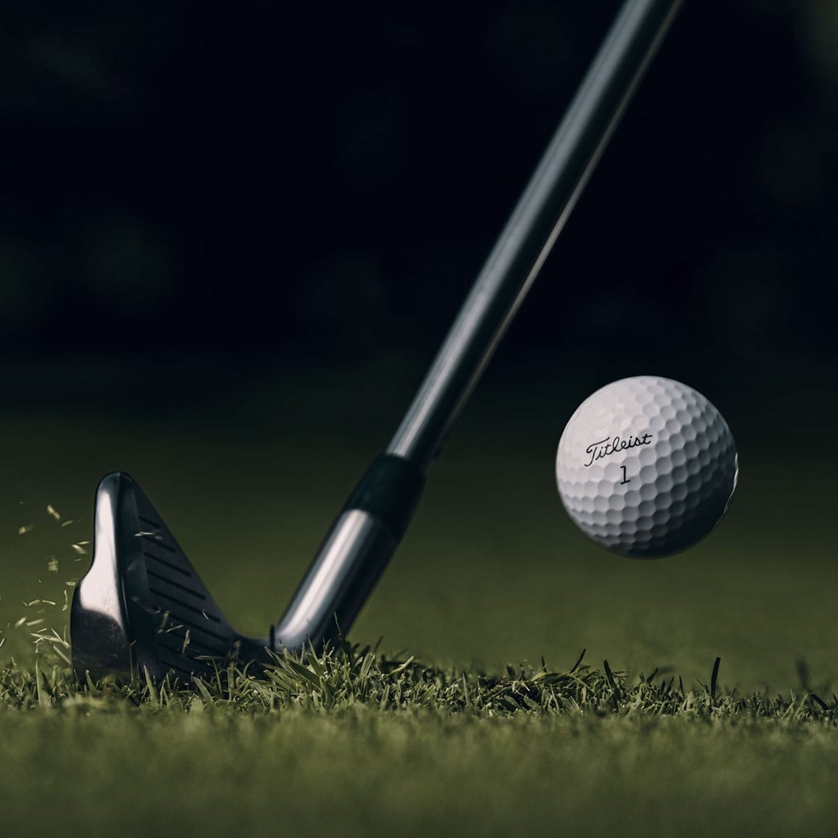 PRIMAVERA ESTATE 2026