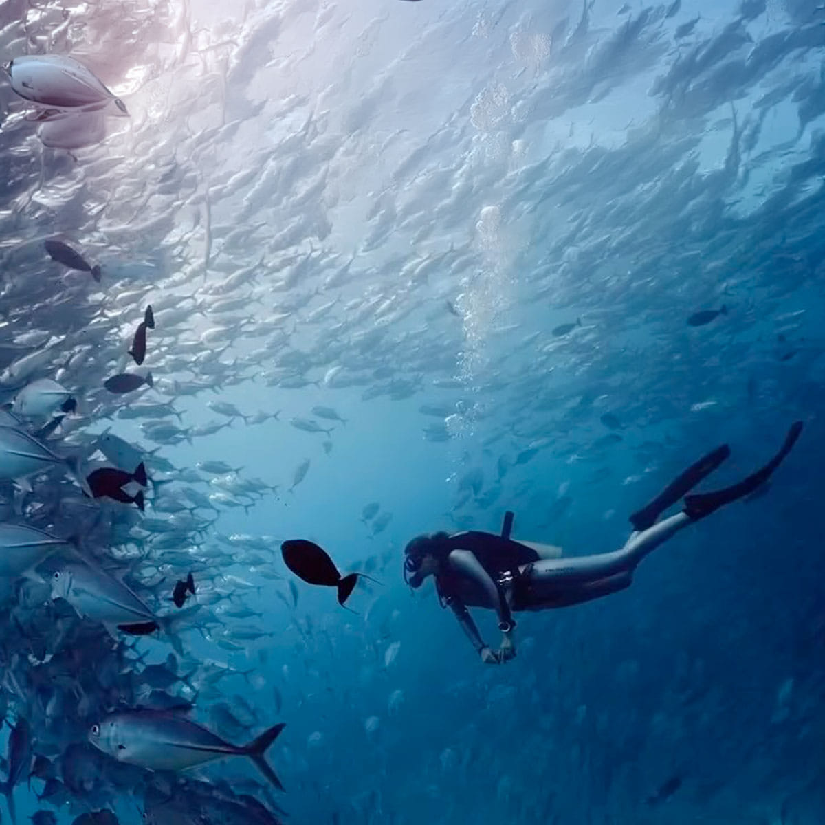 TECNOLOGIA E SICUREZZA