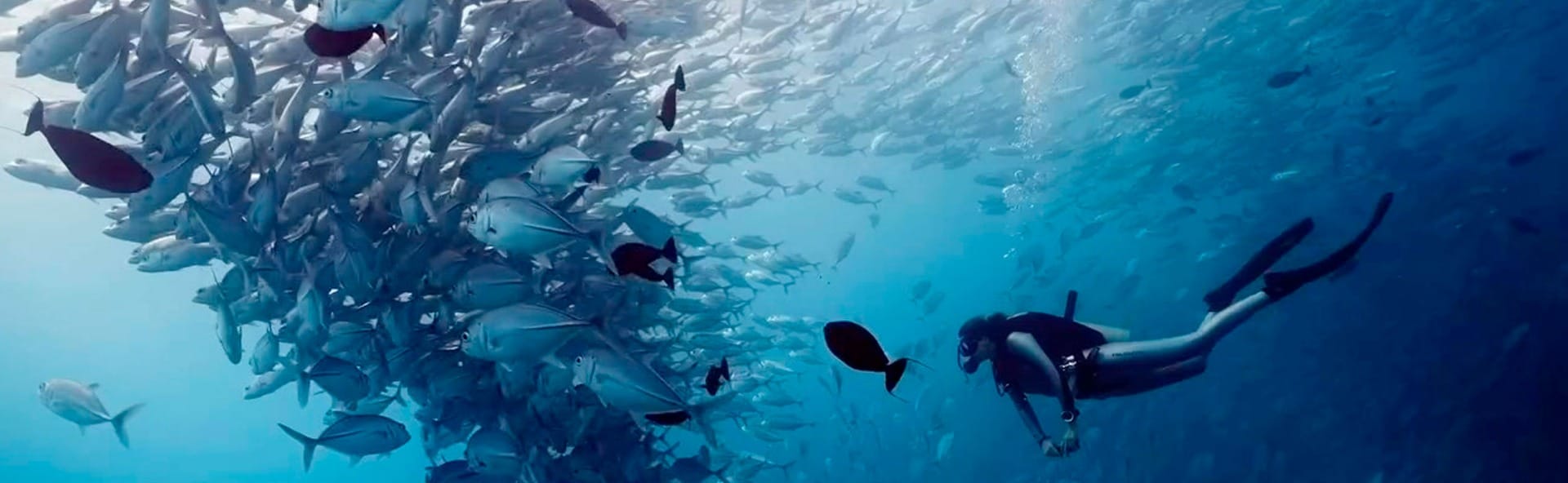 TECNOLOGIA E SICUREZZA